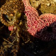 2014-01-17 PointReyesCamping 027 : 2014-01-17_PointReyesCamping
